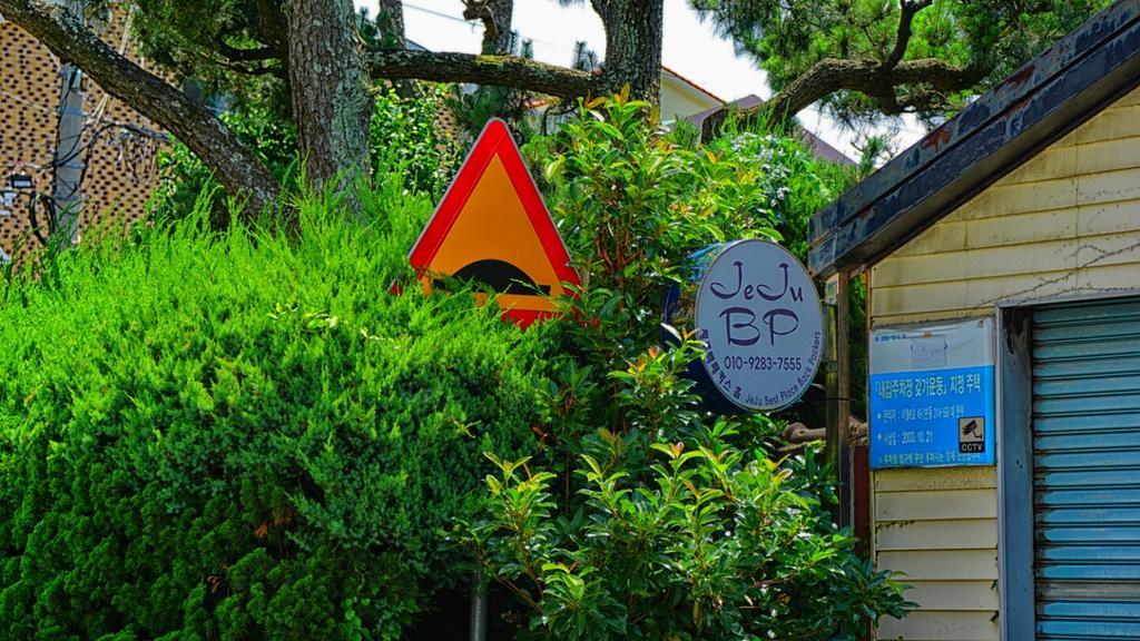 Jeju B.P. Guesthouse Exterior foto